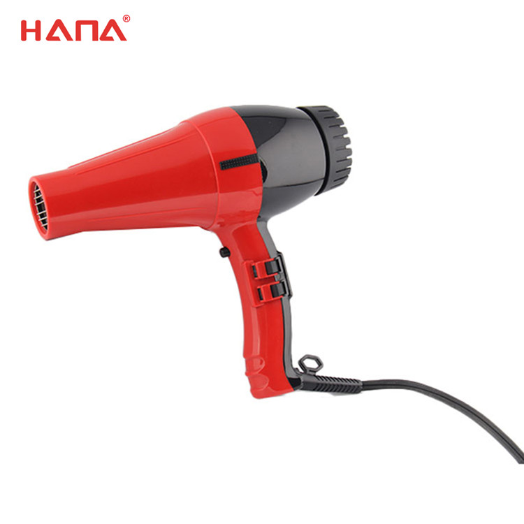 New arrival Professional Household Use AC function hair dryer Buy